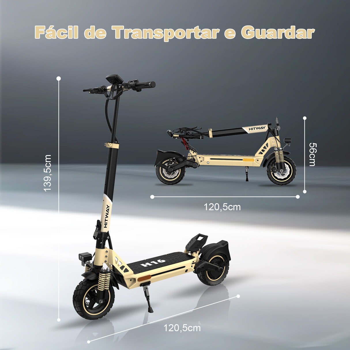 H16 Patinete Elétrico Off-Road 1000W