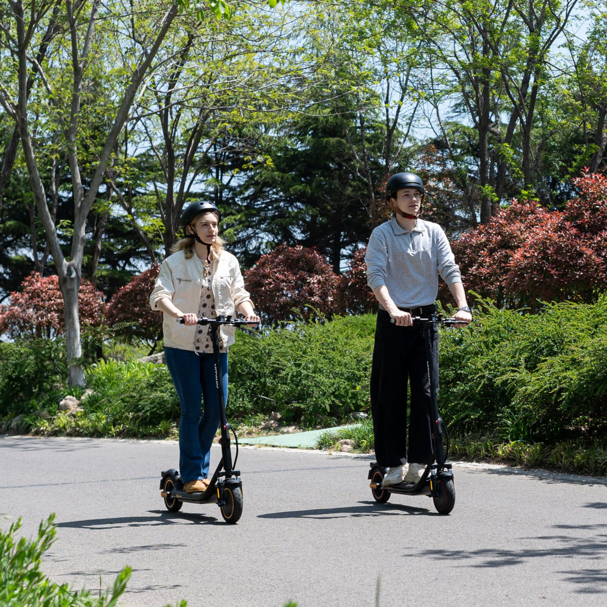 H12 Scooter Elétrica Dobrável